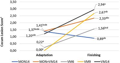 The Potential of Shortening the Adaptation of Nellore Cattle to High-Concentrate Diets Using Only Virginiamycin as Sole Feed Additive